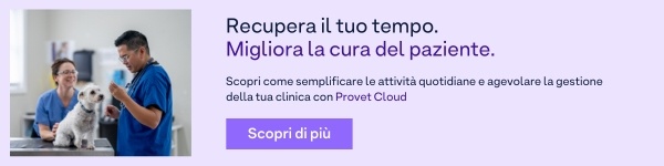 IT - General Practice