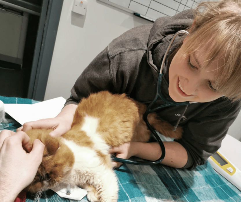 Jenny_bury st edmunds