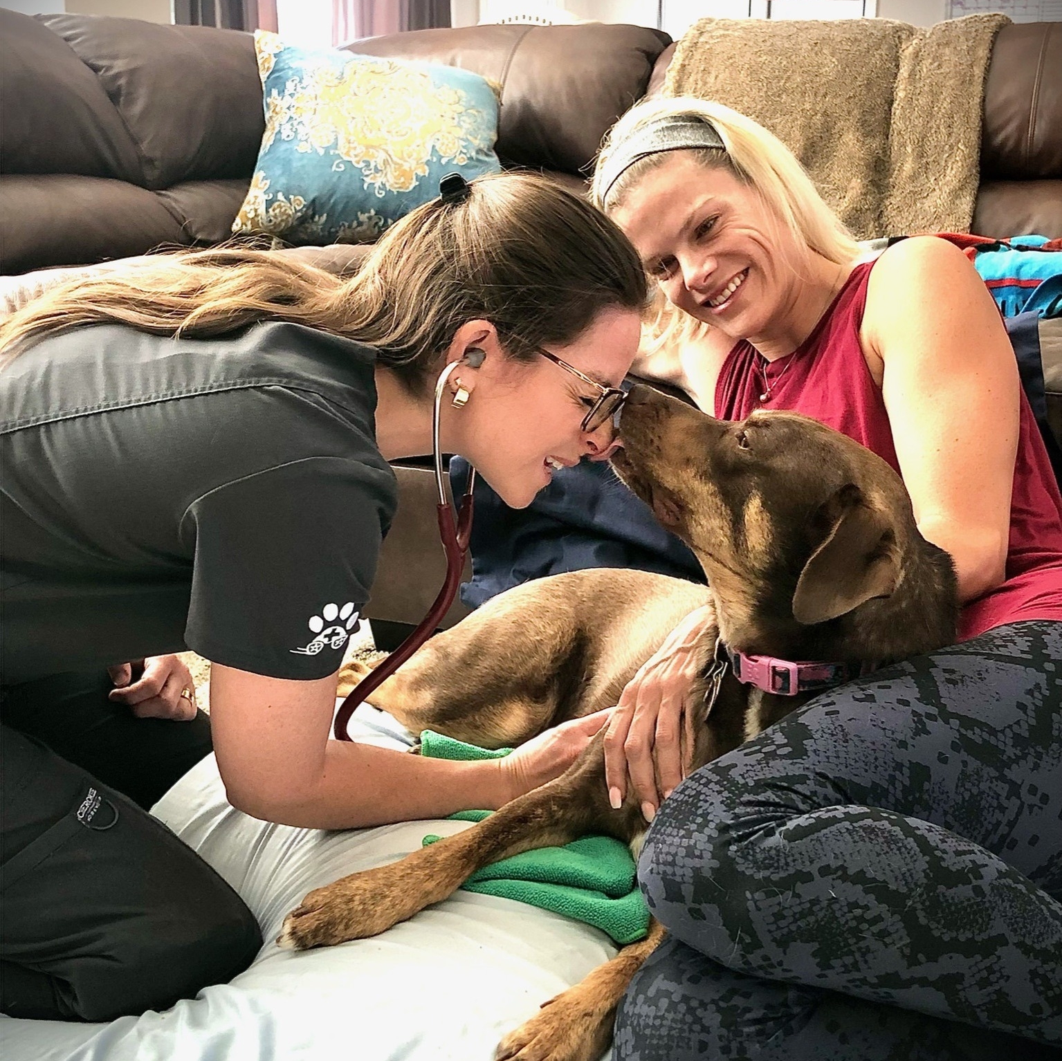 MoVET-Lexi-house-visit