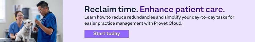 veterinarians-examining-dog