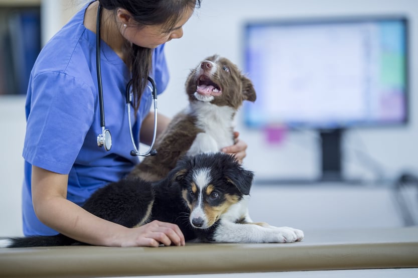 iStock-1018578834-min