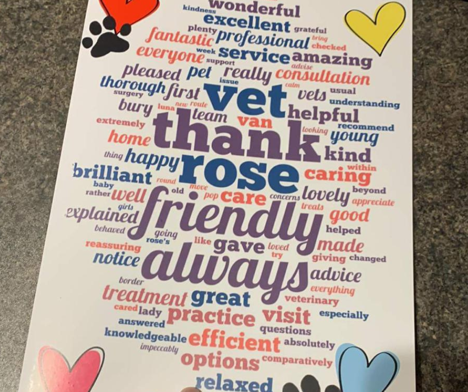 Wordcloud_bury st edmunds