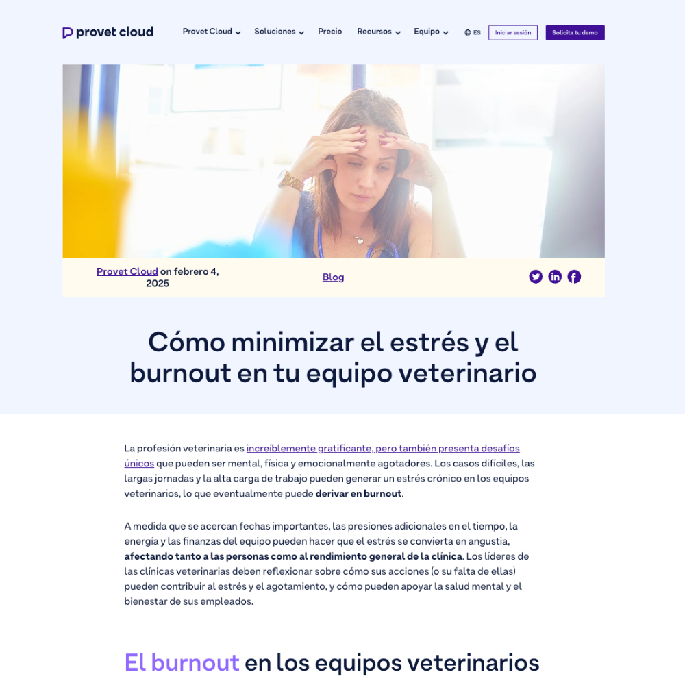 Content Bundle WP  Mockups