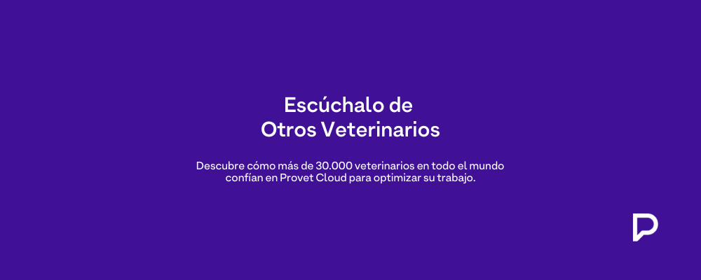Provet Clous | Testimonios