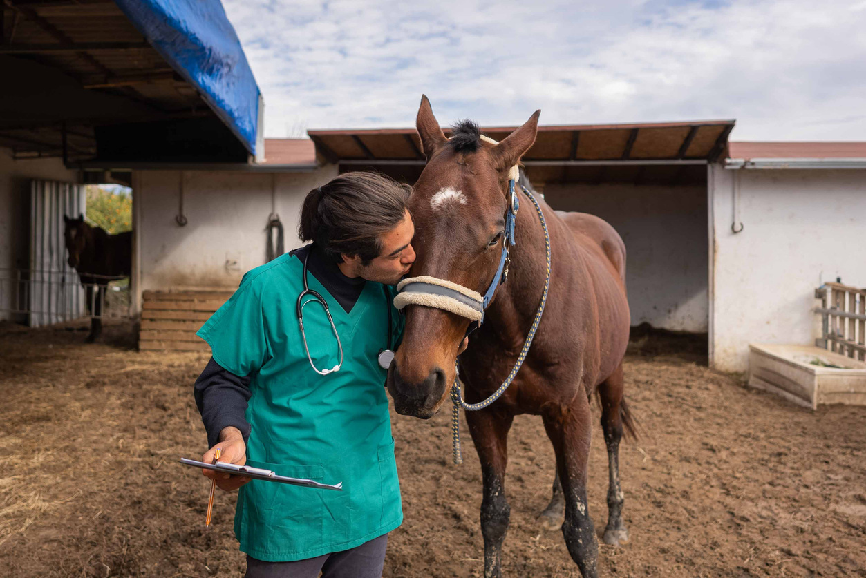 Veterinarian with horse