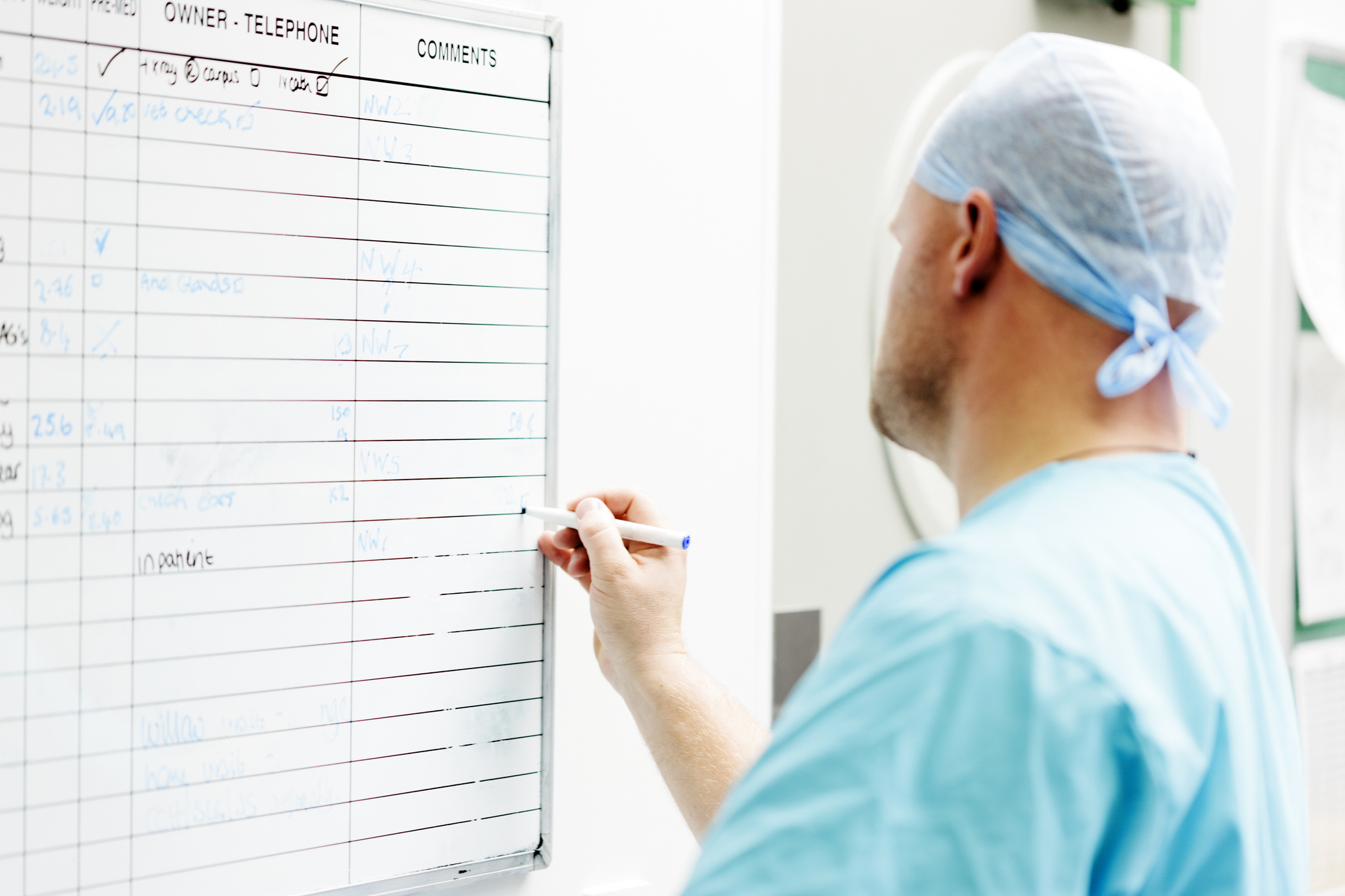 Veterinary surgeon writing on dry-erase board